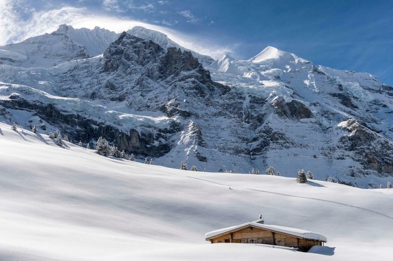 O 68 Haus Bel Air Lejlighed Wengen Eksteriør billede