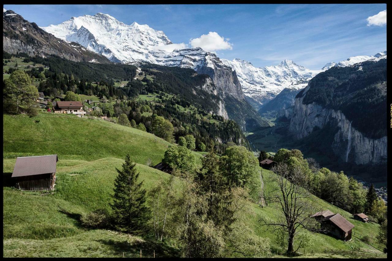 O 68 Haus Bel Air Lejlighed Wengen Eksteriør billede