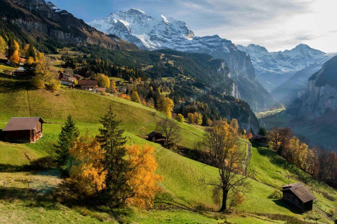 O 68 Haus Bel Air Lejlighed Wengen Eksteriør billede