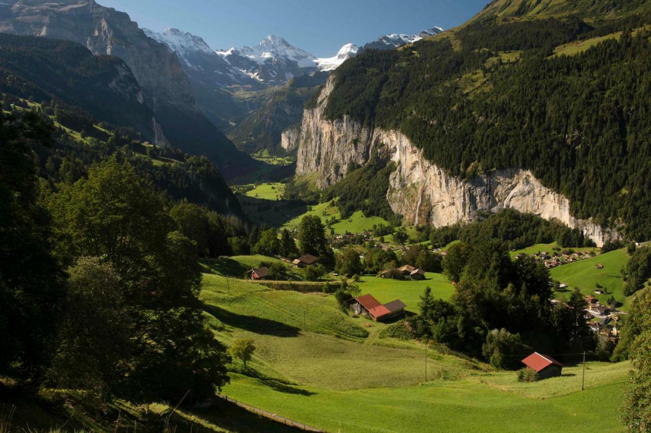 O 68 Haus Bel Air Lejlighed Wengen Eksteriør billede