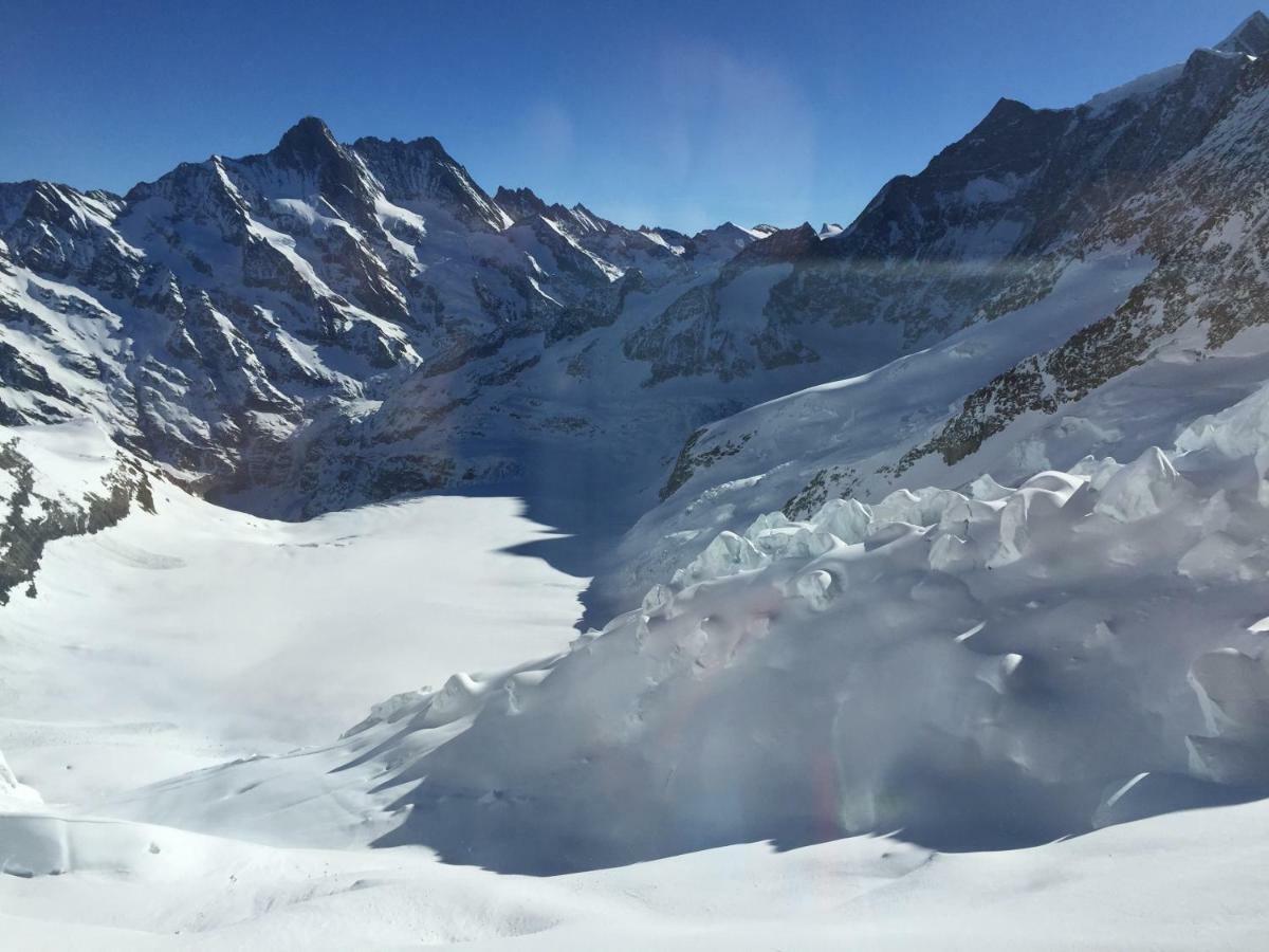 O 68 Haus Bel Air Lejlighed Wengen Eksteriør billede